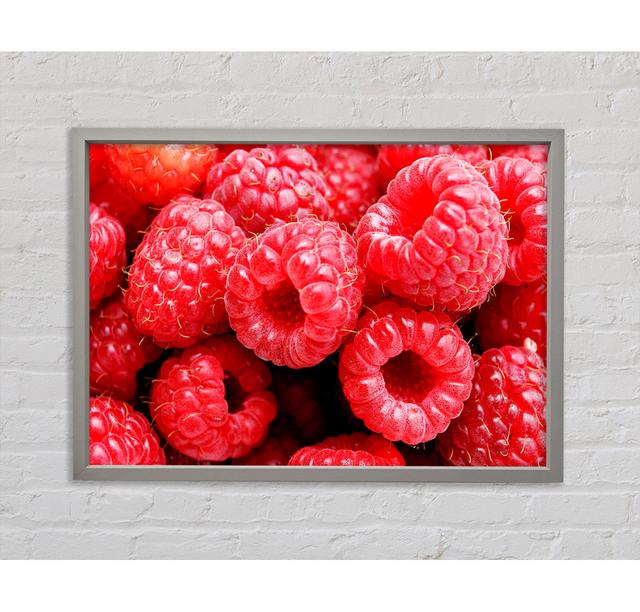 Raspberry Delight - Single Picture Frame Art Prints on Canvas Ebern Designs Size: 59.7cm H x 84.1cm W on Productcaster.