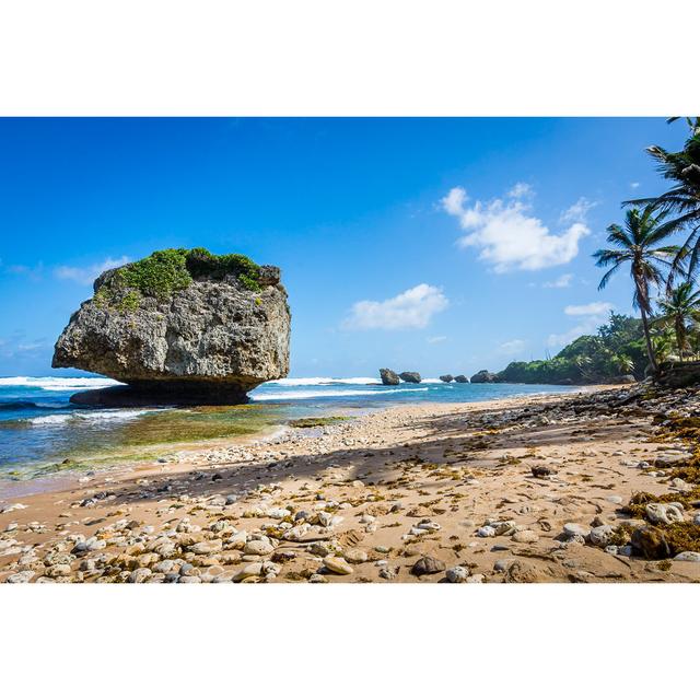 Bathsheba Beach, Barbados House of Hampton Size: 30cm H x 46cm W on Productcaster.