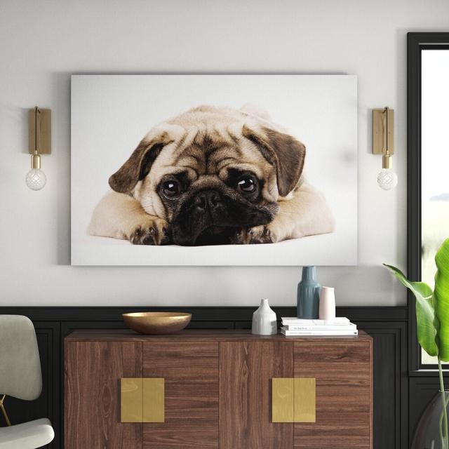 Leinwandbild Cuddly Pug East Urban Home Größe: 150 L x 100 B on Productcaster.