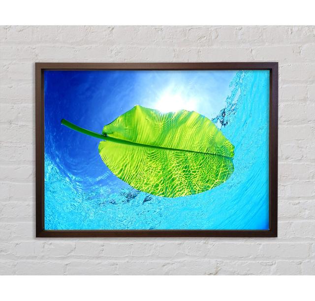 Blue Waters Of A Green Leaf Gerahmter Druck Wandkunst Haus am Meer Format: Dunkelgrau gerahmte Leinwand, Größe: 59,7 cm H x 84,1 cm B x 3,3 cm T on Productcaster.