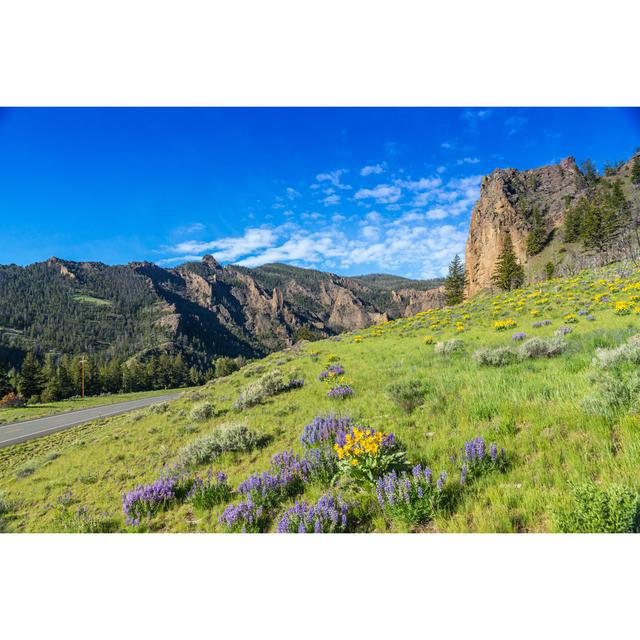 Yellowstone National Park - Wrapped Canvas Photograph Alpen Home Size: 20cm H x 30cm W on Productcaster.