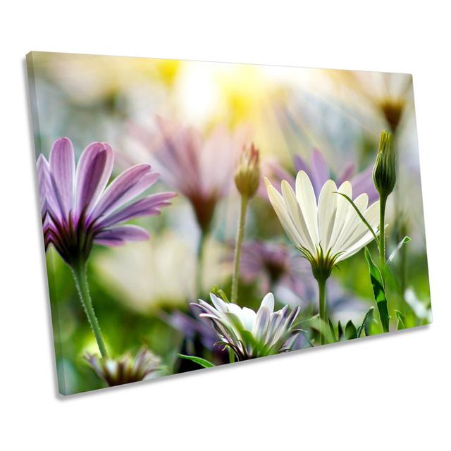 Summer Floral Meadow Scene - Wrapped Canvas Print Ebern Designs Size: 30.5cm H x 45.7cm W on Productcaster.