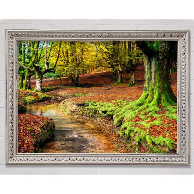 Gentle Shallow Stream Woodland Framed Print Bright Star Size: 42cm H x 59.7cm W x 3cm D on Productcaster.