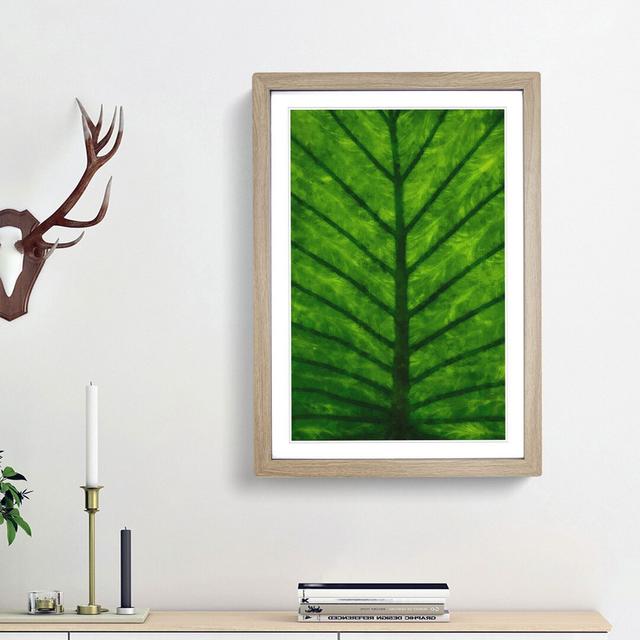 Green Leaf Lines - Picture Frame Painting Print East Urban Home Frame Option: Oak Framed, Size: 63cm H x 45cm W x 2cm D on Productcaster.