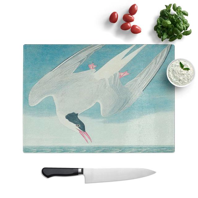 Tempered Glass Arctic Tern Chopping Board East Urban Home Size: 39 cm W x 28.5 cm L on Productcaster.