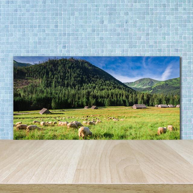 50cm x 100cm Glass Panel August Grove on Productcaster.