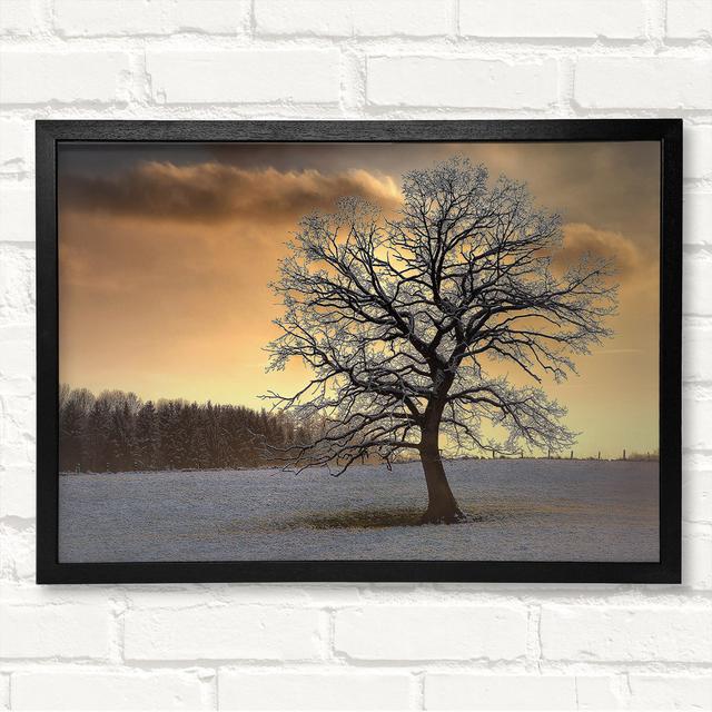 Single Picture Frame Print Ebern Designs Format: Black/Walnut Framed Paper, Size: 100cm H x 141.4cm W x 3cm D on Productcaster.