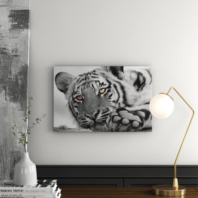 Leinwandbild Relaxed Tiger East Urban Home Größe: 60 cm H x 80 cm B on Productcaster.