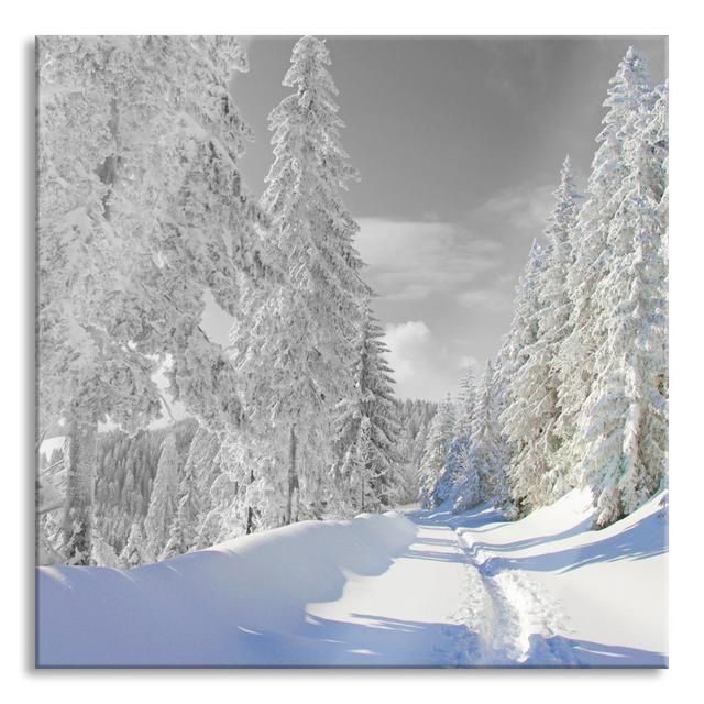 Winter Landscape With Trees - No Frame Print on Glass Alpen Home Size: 60cm H x 60cm W x 0.4cm D on Productcaster.