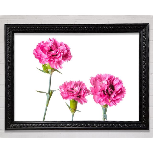 Pink Flowers Standing Up - Print Bright Star Size: 84.1cm H x 118.9cm W on Productcaster.