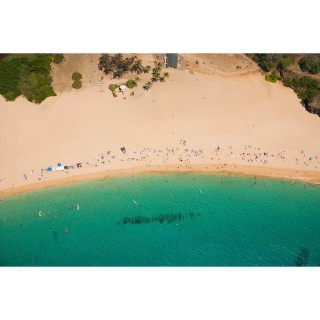 Hawaiian Beach von Philipdyer - Kunstdrucke auf Leinwand 17 Stories Größe: 80 cm H x 120 cm B on Productcaster.