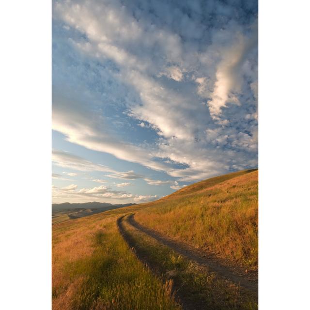 Old Road on Hillside by Clombardi - Wrapped Canvas Photograph 17 Stories Size: 122cm H x 81cm W on Productcaster.