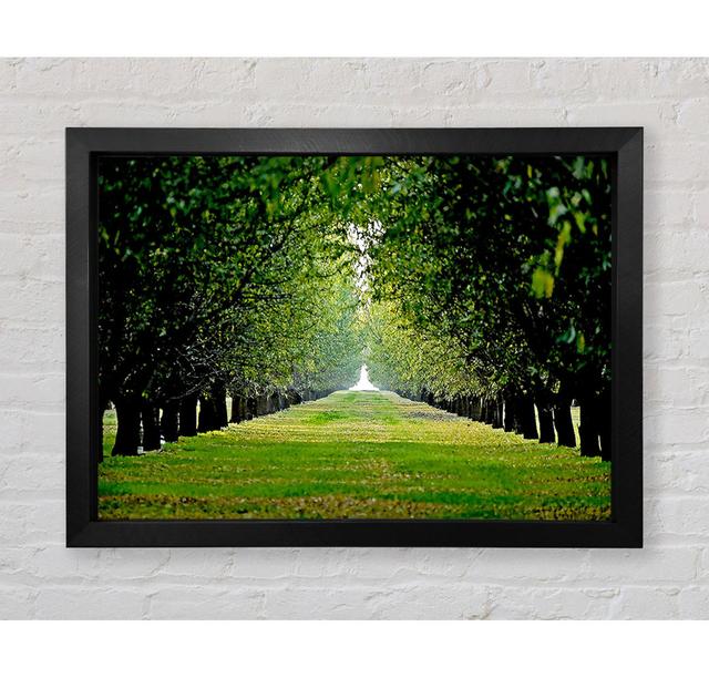 Orchard - Single Picture Frame Art Prints Bright Star Size: 59.7cm H x 84.1cm W x 3.4cm D on Productcaster.