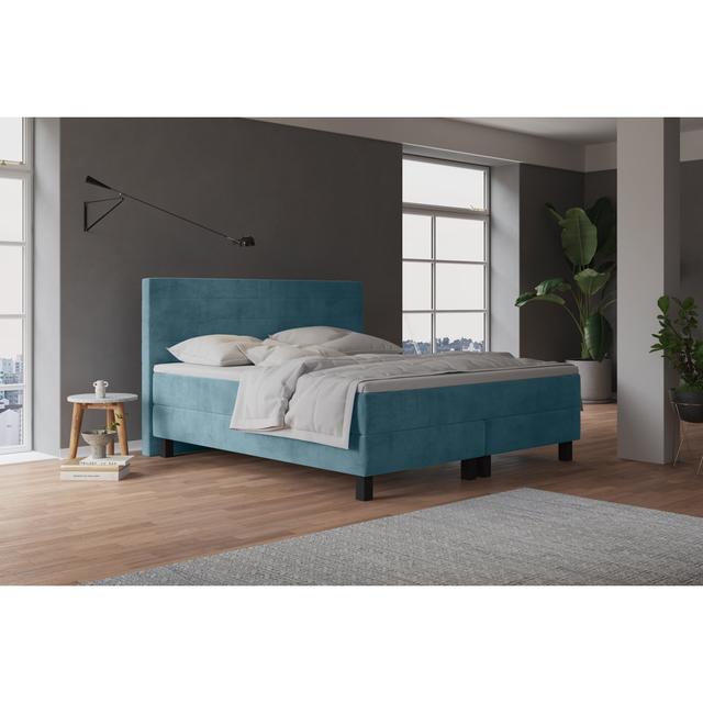 Echtes Boxspringbett Harward mit Taschenfederkernmatratze, mit Samtstoff bezogen Fairmont Park Topper: Inklusive Kaltschaum-Matratzenauflagen, Farbe: on Productcaster.