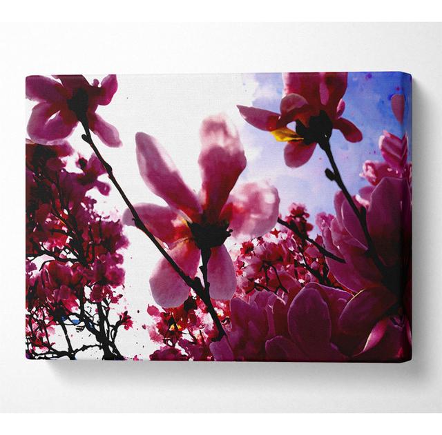 Pink Cherry Blossom In Sunlight - Wrapped Canvas Art Prints Latitude Run Size: 66cm H x 106.6cm W x 10cm D on Productcaster.