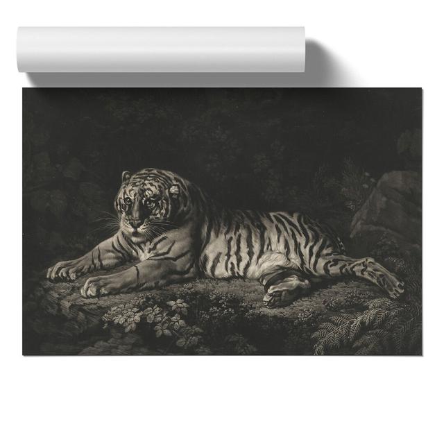 A Tiger by George Stubbs - Unframed Graphic Art East Urban Home Size: 42cm H x 59cm W x 0.1cm D on Productcaster.