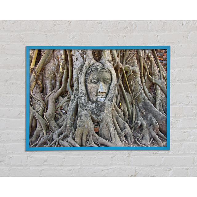 Buddha 21 - Single Picture Frame Art Prints Latitude Vive Size: 42cm H x 59.7cm W x 2cm D on Productcaster.