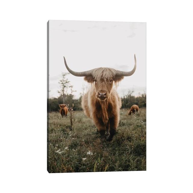 Highland Cow at Sunset by Chelsea Victoria - Wrapped Canvas Photograph Print Brambly Cottage Size: 45.72cm H x 30.48cm W on Productcaster.