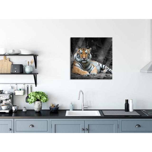 Resting Tiger - No Frame Print on Glass Brayden Studio Size: 80cm H x 80cm W x 0.4cm D on Productcaster.