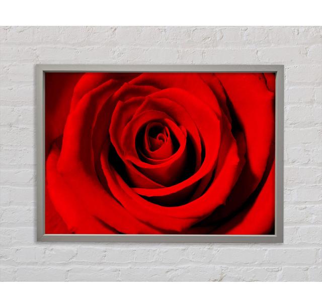 Close-up Of The Soft Red Rose - Single Picture Frame Art Prints on Canvas Canora Grey Size: 84.1cm H x 118.9cm W x 3.3cm D on Productcaster.