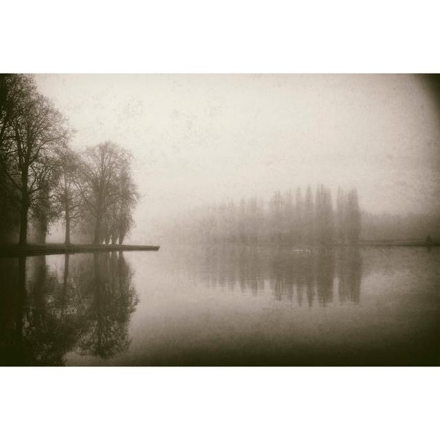 Trees in Fog III by Jody Stuart - Wrapped Canvas Photograph Union Rustic Size: 51cm H x 76cm W x 3.8cm D on Productcaster.