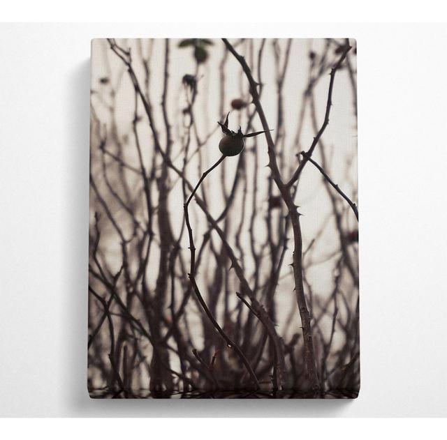 No Frame Print on Canvas Natur Pur Size: 81cm H x 121.9cm W on Productcaster.