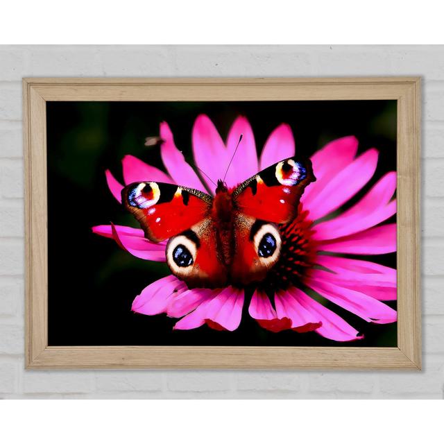 Butterfly Infusion - Print August Grove Size: 42cm H x 59.7cm W x 1.5cm D on Productcaster.