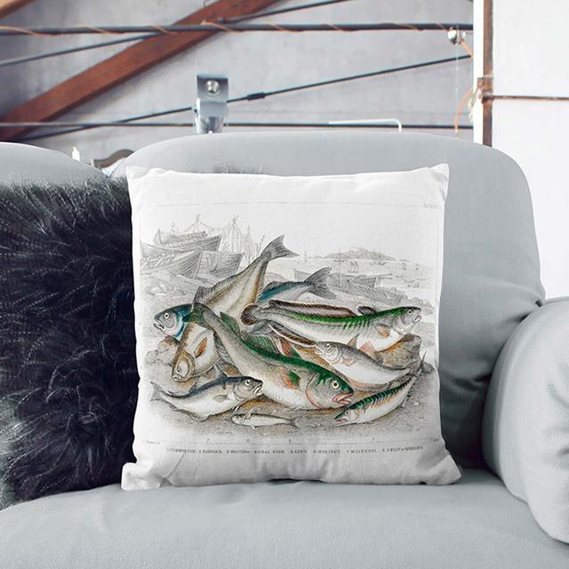 Beached Fish Cushion with Filling East Urban Home Size: 40cm H x 40cm W x 15cm D, Backing Colour: Black on Productcaster.