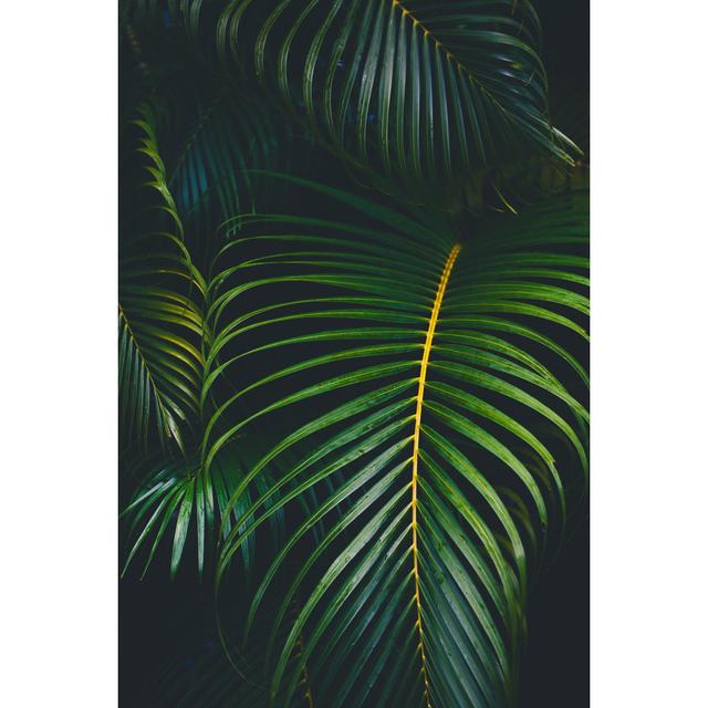 Palm leaves background 17 Stories Size: 91cm H x 61cm W on Productcaster.