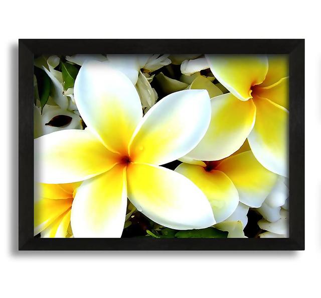 White Yellow Flowers - Picture Frame Graphic Art on Canvas Ophelia & Co. on Productcaster.