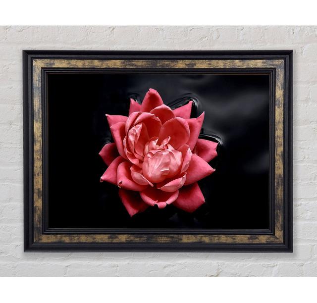 Floating Flower - Single Picture Frame Art Prints Bright Star Size: 42cm H x 59.7cm W x 8cm D on Productcaster.