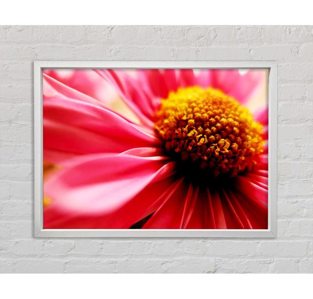 Pink Pom Pom Centre - Single Picture Frame Art Prints on Canvas Bright Star Size: 59.7cm H x 84.1cm W on Productcaster.