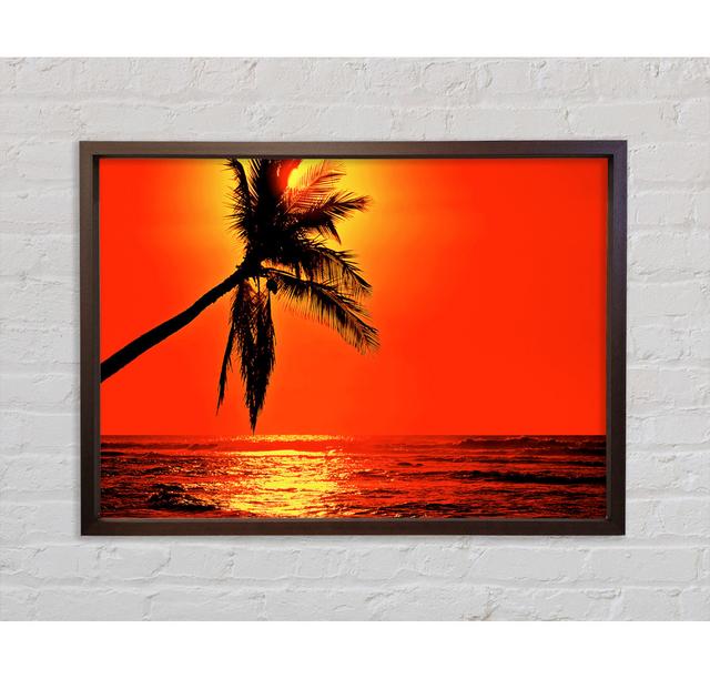 Palmtree Sunblaze Framed Print Wall Art Highland Dunes Size: 84.1cm H x 118.9cm W x 3.3cm D, Format: Dark Gray Framed Canvas on Productcaster.