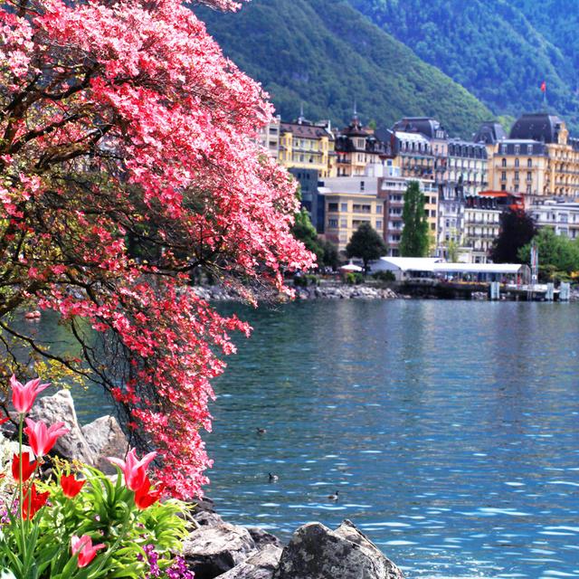 Montreux and Lake Geneva Switzerland - Wrapped Canvas Photograph Ebern Designs Size: 91cm H x 91cm W x 3.8cm D on Productcaster.