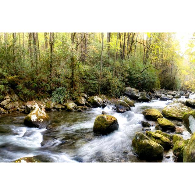 Riverside Panorama - Wrapped Canvas Art Prints Gracie Oaks Size: 51cm H x 76cm W x 3.8cm D on Productcaster.