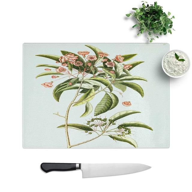 Glass Mountain Laurel Flowers by Mark Catesby Chopping Board East Urban Home Size: 39 cm W x 28.5 cm L on Productcaster.