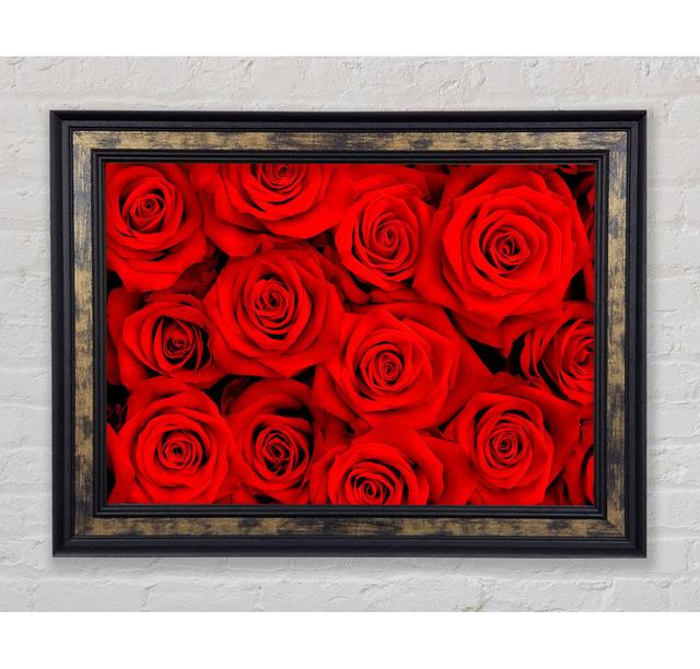 Lovely Roses For The One I Love - Print Latitude Run Format: Galway Gold Black Framed Paper, Size: 59.7cm H x 84.1cm W x 8cm D on Productcaster.