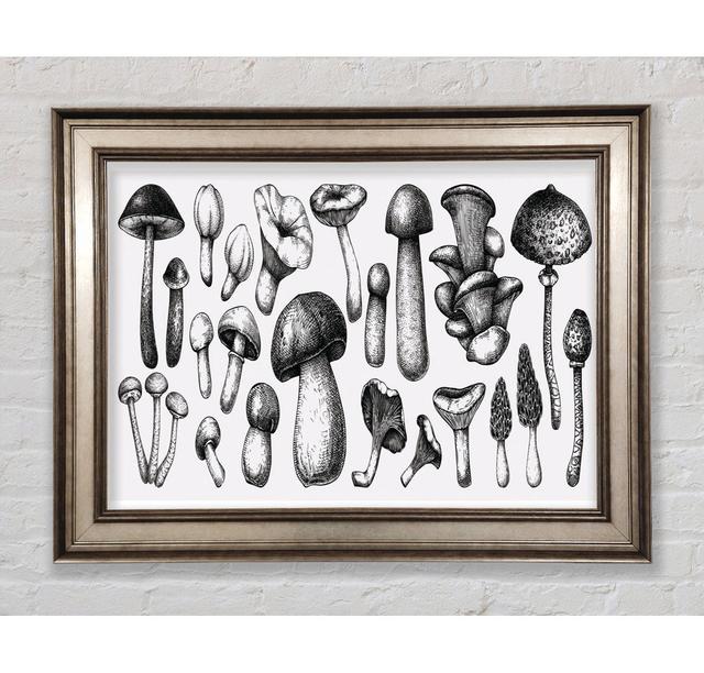 The Toadstool Collection - Single Picture Frame Art Prints Bright Star Size: 42cm H x 59.7cm W x 8cm D on Productcaster.