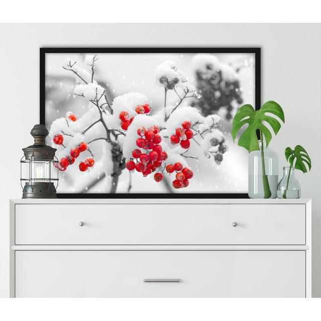 Gerahmtes Poster Rote Vogelbeeren im Winter ModernMoments Größe: 55 cm H x 40 cm B x 2.5 cm T on Productcaster.