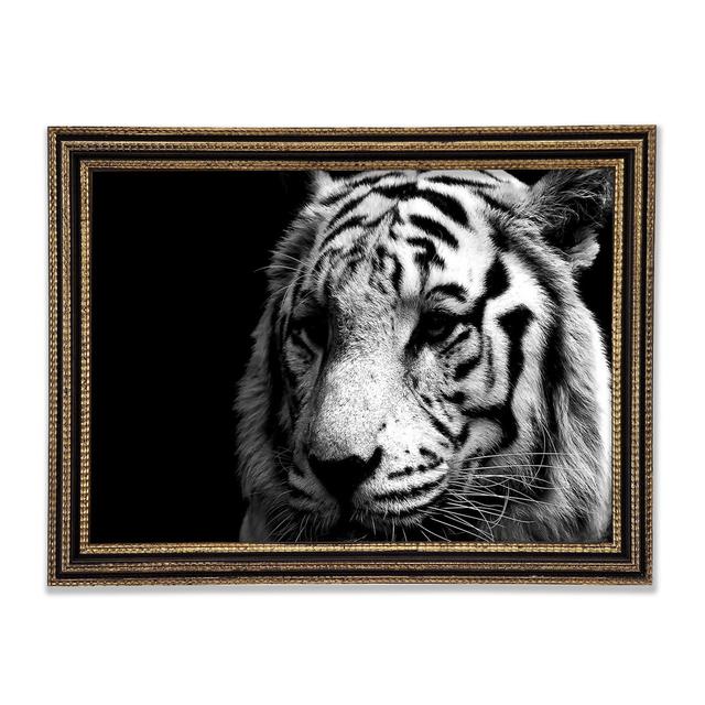 Tiger Black And White - Print Ebern Designs Size: 29.7cm H x 42cm W x 3cm D on Productcaster.