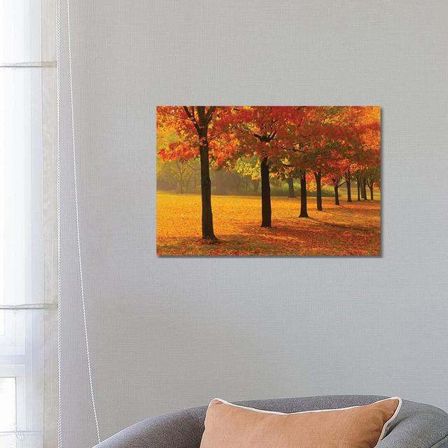 Canada, Ontario, Guelph. Sugar Maple Trees In Autumn. - Wrapped Canvas Painting Brayden Studio on Productcaster.