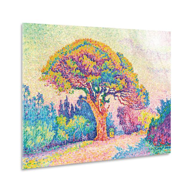 Acrylbild A Pine Tree in Saint Tropez von Paul Signac Rosalind Wheeler Größe: 50 cm H x 70 cm B, Format: Kunststoff/Acryl on Productcaster.