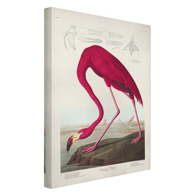 American Flamingo Wall Art - Wrapped Canvas Graphic Art Bay Isle Home Format: 330g/m³ recycled canvas, Size: 60cm H x 40cm W on Productcaster.