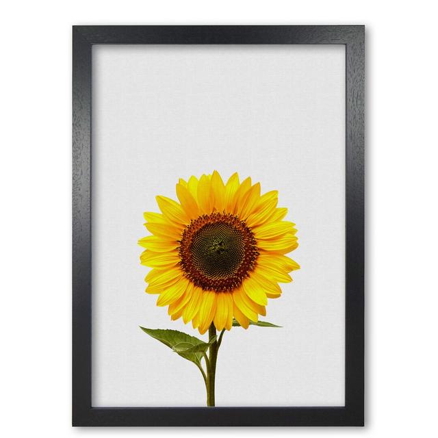 Sunflower Still Life - Photograph Print on Paper East Urban Home Format: Black Grain Frame, Size: 60 cm H x 42 cm W x 5 cm D on Productcaster.