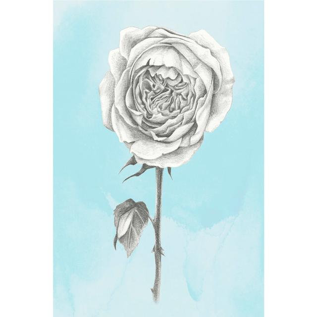 Graphite Rose I by June Erica Vess - Wrapped Canvas Art Prints Canora Grey Size: 76cm H x 51cm W on Productcaster.