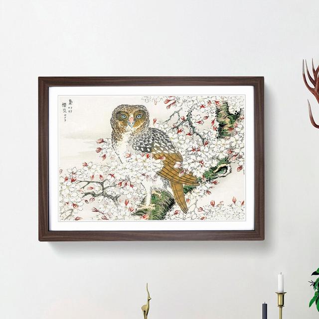 Short-Eared Owl & Cherry Flower by Numata Kashu - Picture Frame Painting Print East Urban Home Format: Walnut, Size: 40cm H x 60cm W x 2cm D on Productcaster.