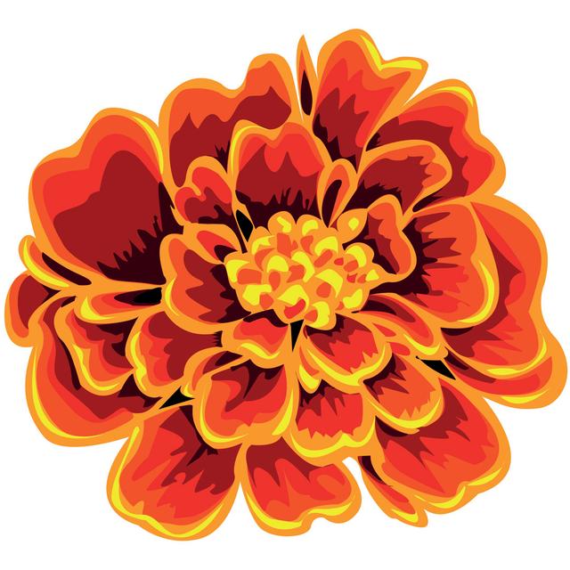 Ashli Vector Orange Marigold - Print ClassicLiving Size: 76cm H x 76cm W x 3.8cm D on Productcaster.