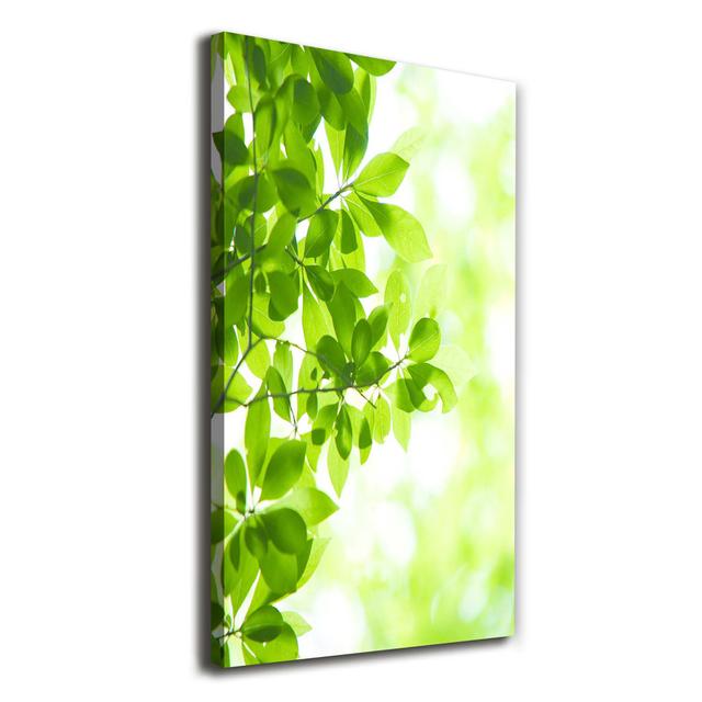 Leinwandbild Green Leaves Ebern Designs on Productcaster.