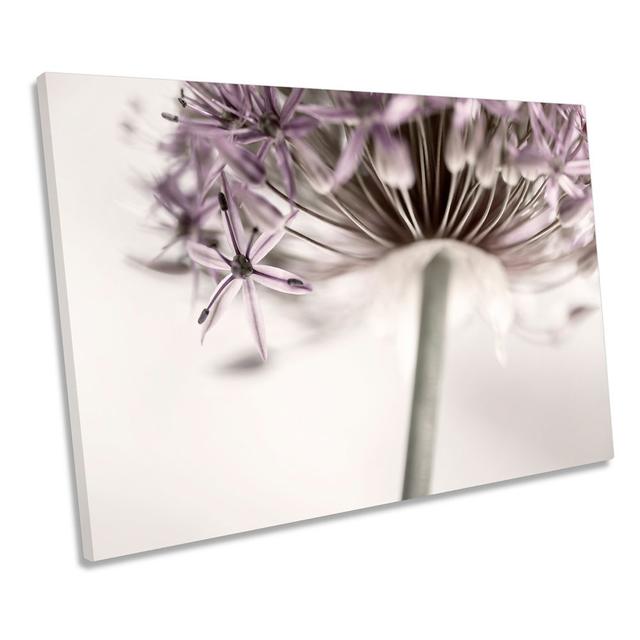 Onion Flower Floral - Wrapped Canvas Art Prints Ebern Designs Size: 40.6cm H x 61cm W on Productcaster.