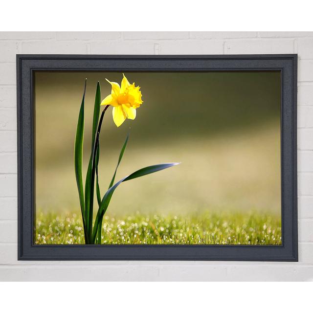 Single Picture Frame Art Prints Ebern Designs Size: 59.7cm H x 84.1cm W on Productcaster.